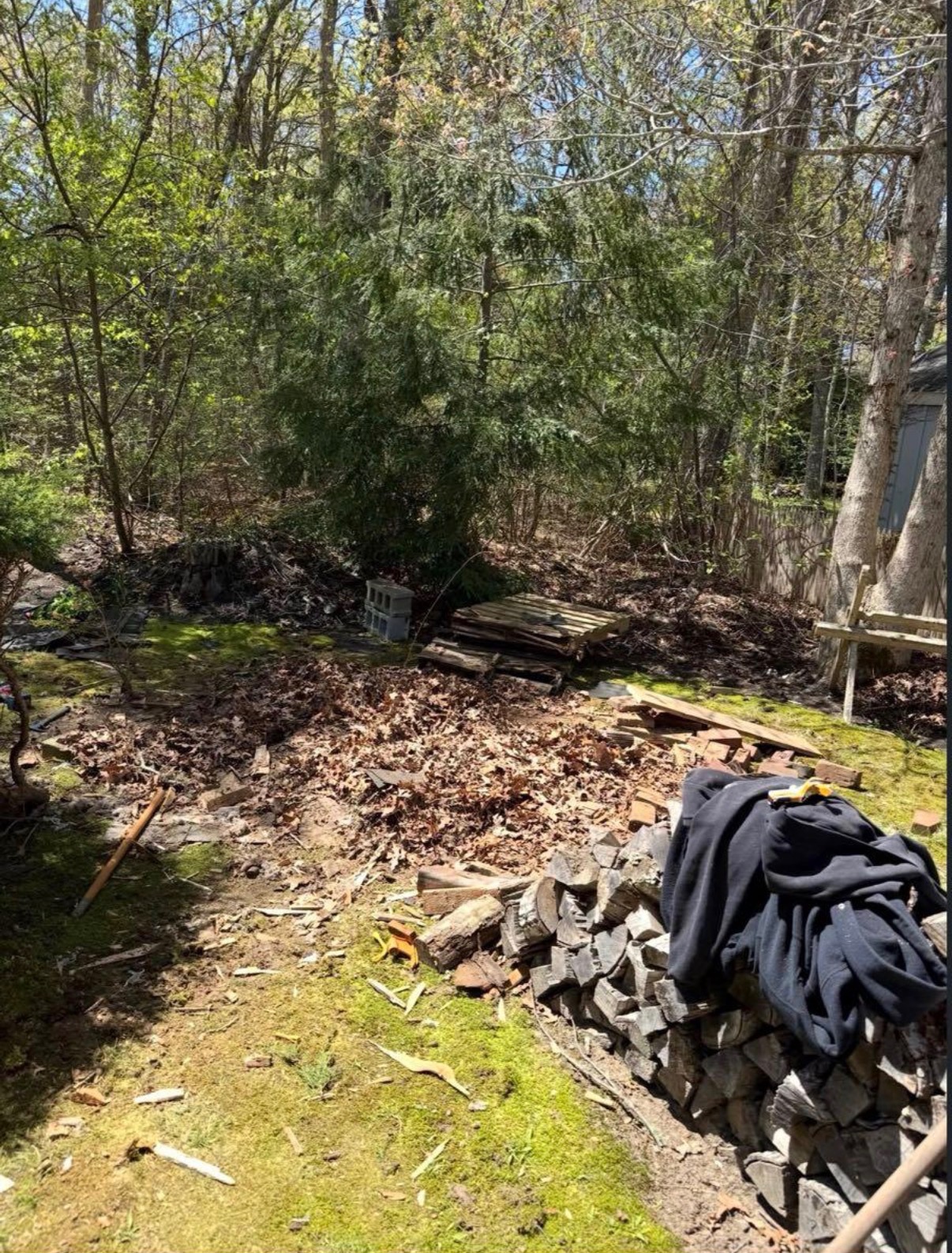 Wooded Cape Cod yard cleared of debris after a small demolition